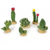 Cactus Giganterra, Diferentes modelos.