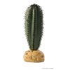 Exo Terra. Saguaro Cactus.