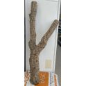 Pieza única de Rama Corcho de Bornizo XXL 2