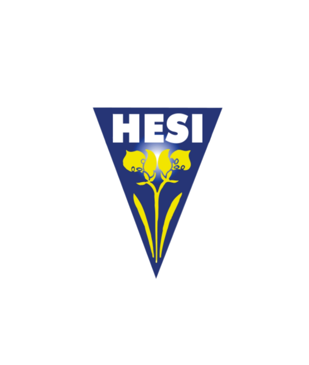 HESI